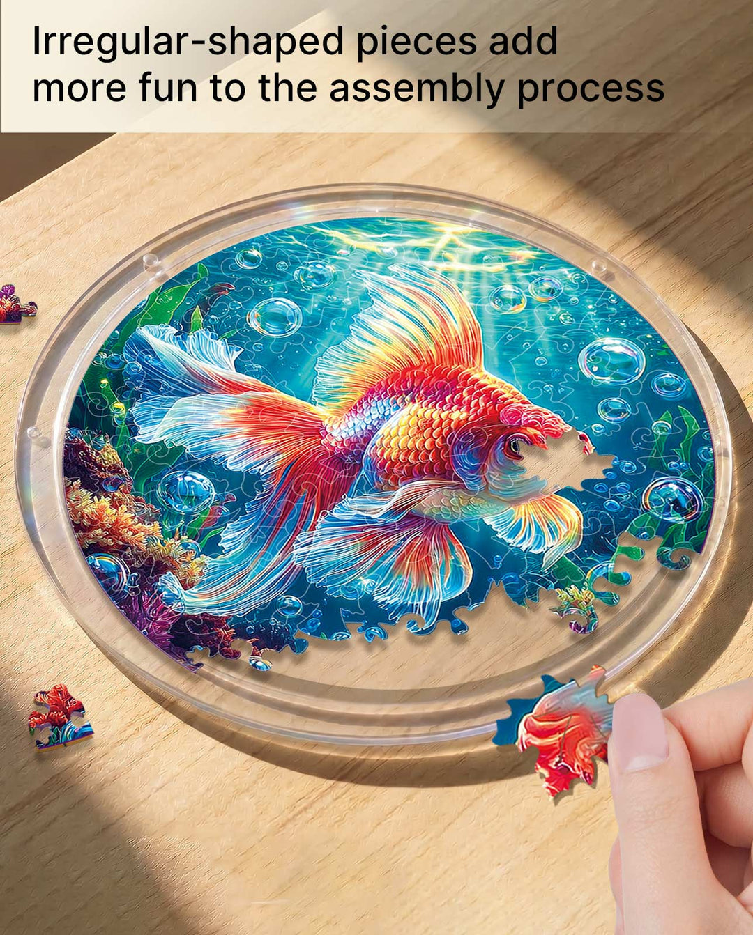Acrylic Jigsaw Puzzle Suncatcher - Starflame Goldfish