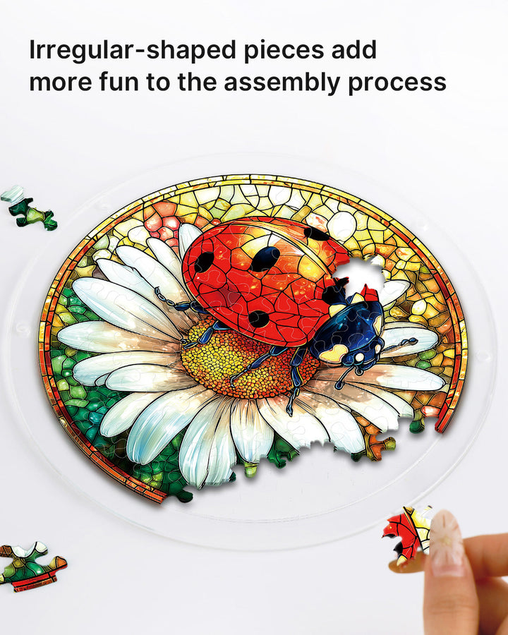 Acrylic Jigsaw Puzzle Suncatcher - Ladybug on Daisy